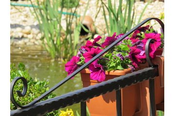 Alloggio presso privati Sárvár 15